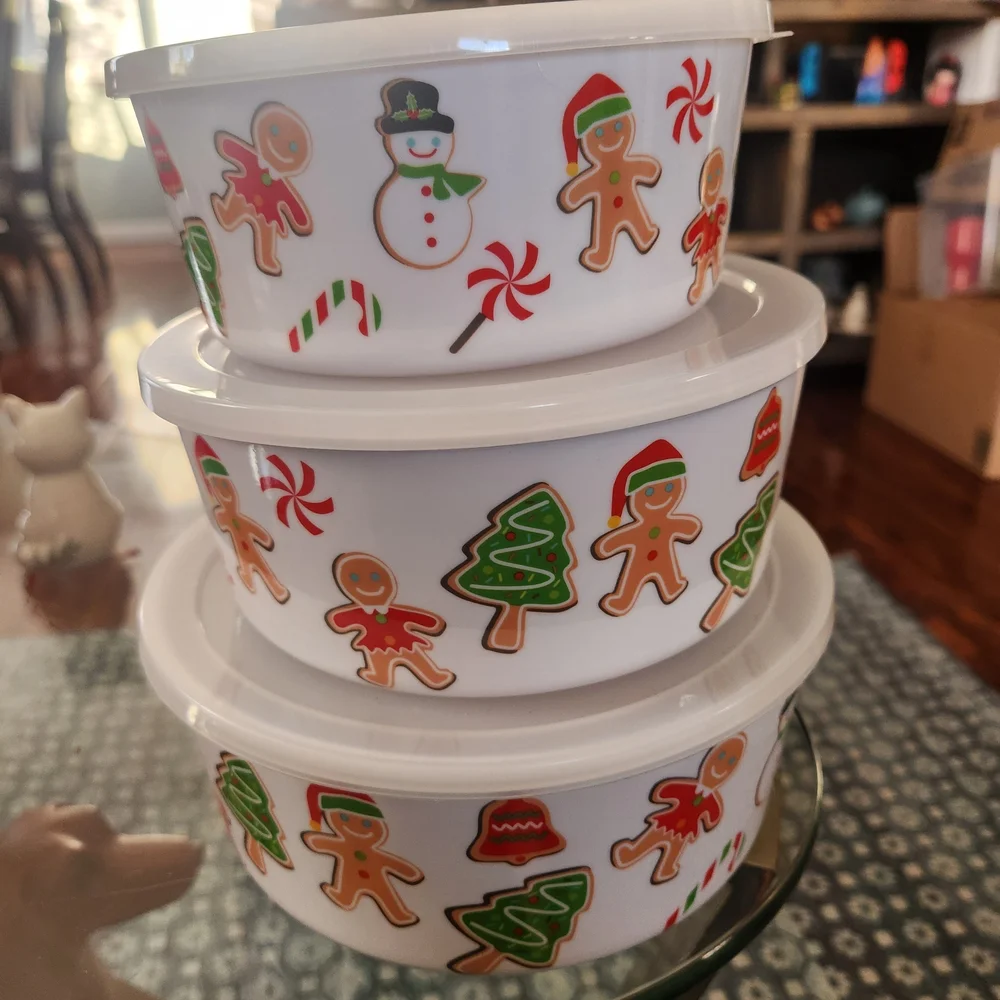 Festive Holiday Storage Containers - Picture 1 of 1